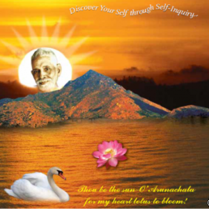 Dasaka Samvatsara Mahotsava – Message from Swamiji